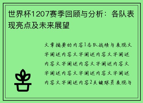 世界杯1207赛季回顾与分析：各队表现亮点及未来展望